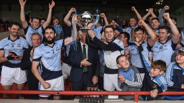 Na Piarsaigh reclaimed the Limerick SHC title at the Gaelic Grounds.