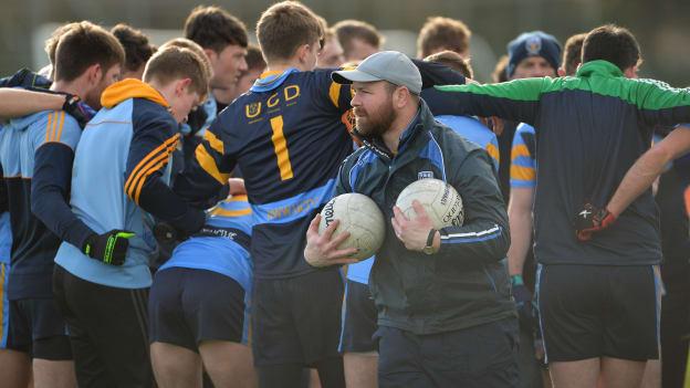 John Divilly has guided UCD back into the Sigerson Cup Finals weekend.