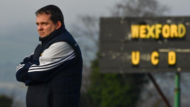New Wexford manager Davy Fitzgerald.