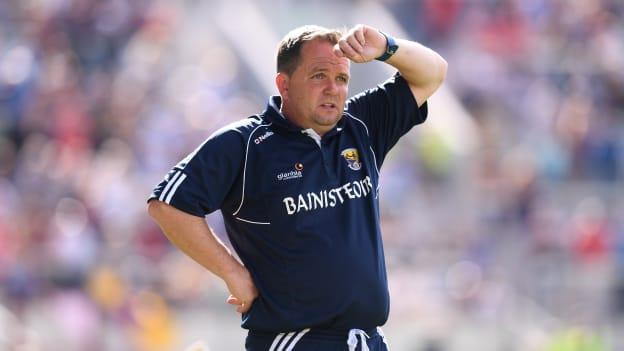 Wexford manager Davy Fitzgerald.