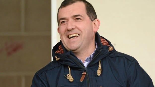 Seamus McEnaney will manage Wexford in 2017.