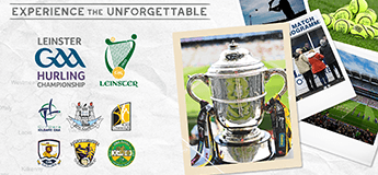 Leinster GAA Hurling Senior Championship