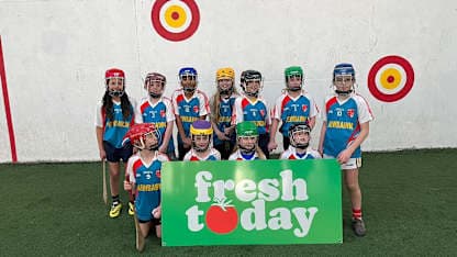 Wexford reboot Freshtoday Hurling 365 Club-School programme 