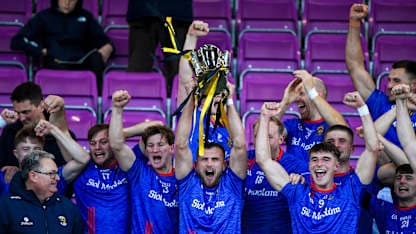 Wexford SHC Final: Shelmaliers resist Rathnure comeback