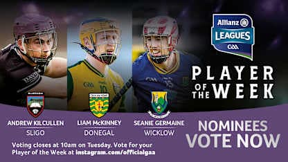 GAA.ie Hurler of the Week nominees