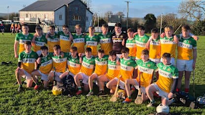 Schools from four counties involved in successful second year hurling blitz