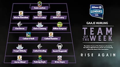 GAA.ie Hurling Team of the Week