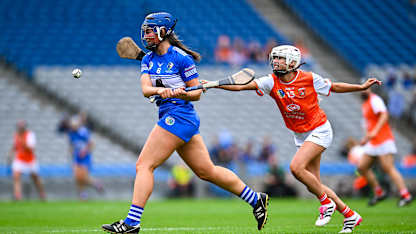 Camogie: Laois triumph in Premier Junior decider