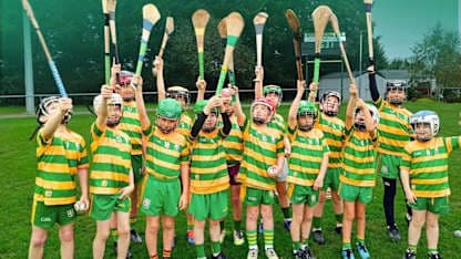 Westmeath's Castledaly proving hurling can prosper in football heartlands