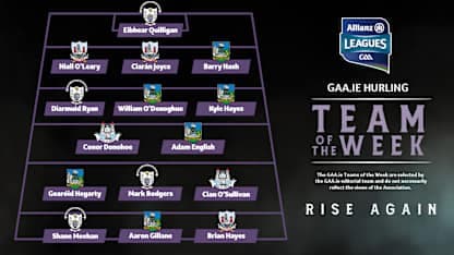 GAA.ie Hurling Team of the Week