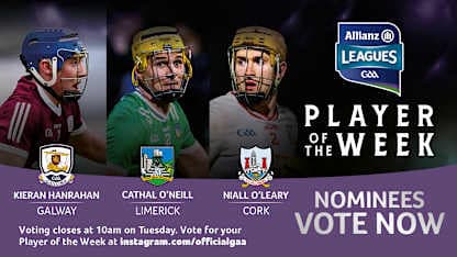 GAA.ie Hurler of the Week nominees
