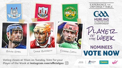 GAA.ie Hurler of the Week nominees