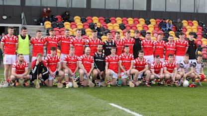 Green shoots for Louth hurling