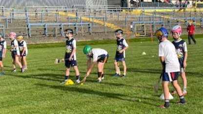 120 children ‘Have A Go’ at hurling and camogie in Longford