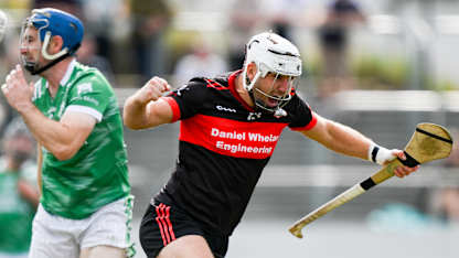 Mount Leinster Rangers crowned Carlow SHC champions