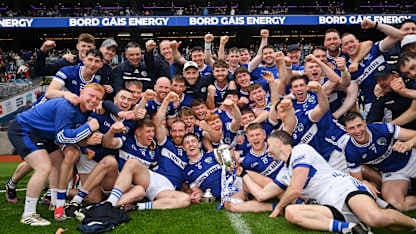 Joe McDonagh Cup Final: Laois get over the line