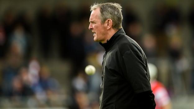 Mattie Kenny has been appointed as the new Dublin hurling manager.