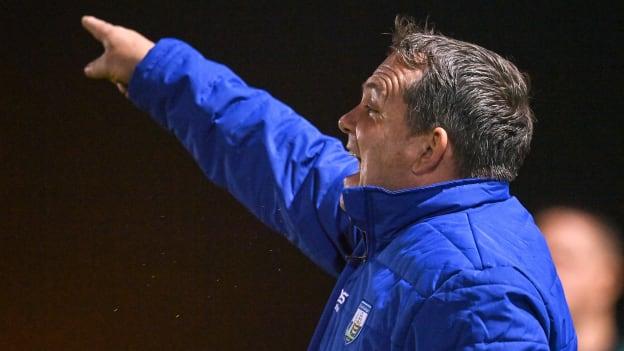 New Waterford hurling manager Davy Fitzgerald.