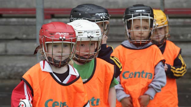 Centra's successful summer of hurling events