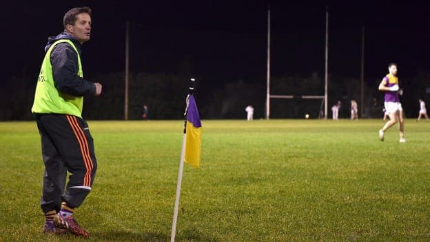 John Hegarty's Wexford are away to Waterford in Division Four of the Allianz Football League on Saturday. Photo by Piaras Ó Mídheach/Sportsfile