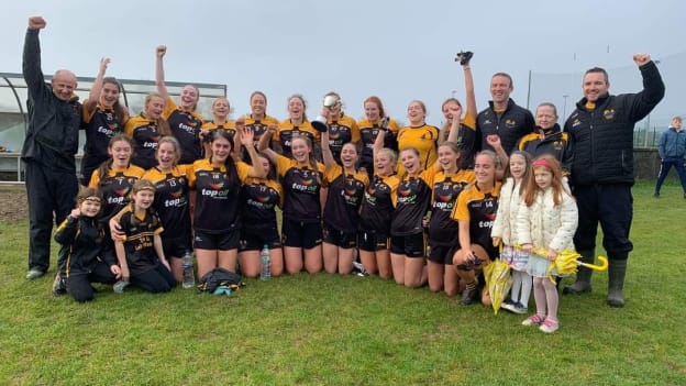 The Naomh Anna Ladies Football team that recently won the Galway West Board Senior Championship Final. 