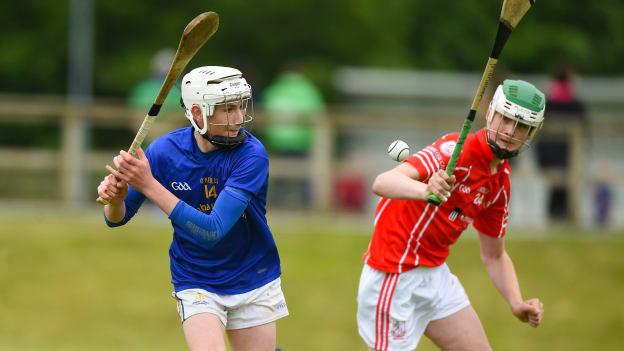 Ben O Connor, St Finbarrs, Cork, and Evan O Connor, Monaleen, Limerick, during the John West Feile na nGael Division One Shield Final.