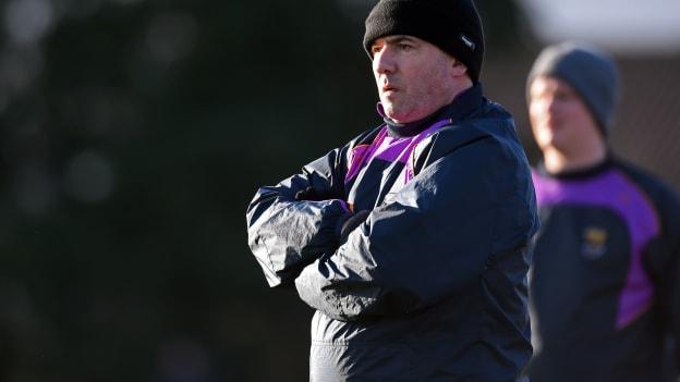 Wexford manager Seamus McEnaney.