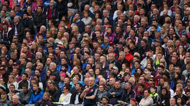 Micheal Donoghue during the All Ireland SHC Semi-Final against Tipperary.