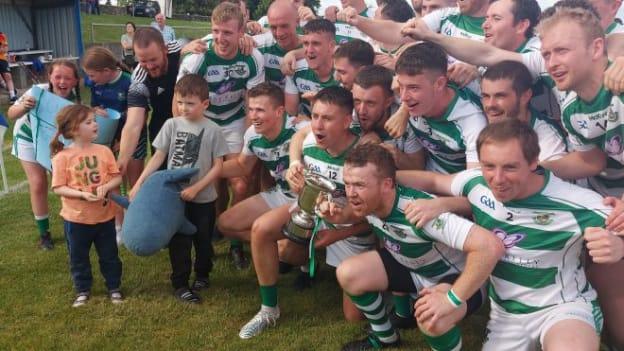St Fechin's won the Louth SHC title in August.