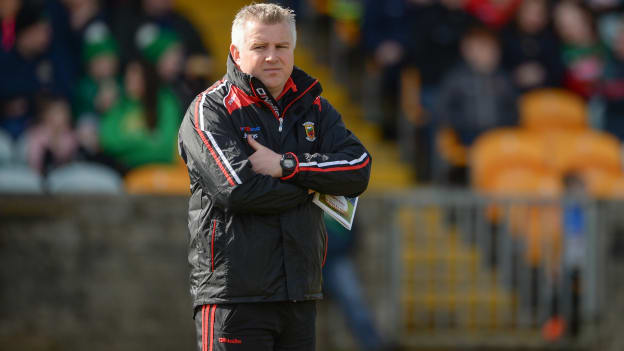 Mayo manager Stephen Rochford.