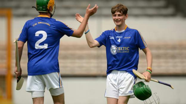 Killian Hannon and Ross Ward from Wicklow following the 2016 Celtic Challenge Division 5 Final at Nowlan Park.