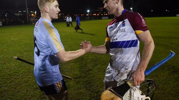 Michael Carey of UL, right, shakes hands with his brother Sean Carey of UCD following the 2019 Electric Ireland Fitzgibbon Cup Group A Round 3 match between University College Dublin and University of Limerick at Billings Park in Belfield, Dublin.