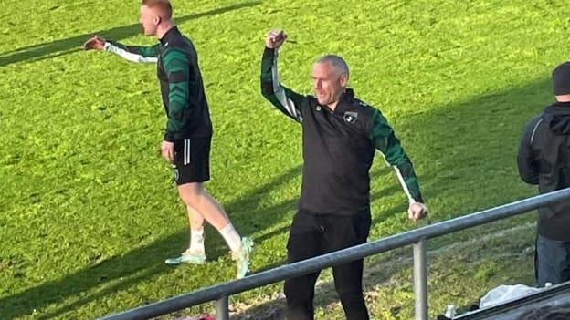 Fulham Irish manager Lorcan Mulvey.