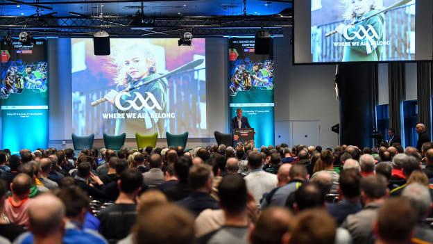 Coaches look on at the 2020 GAA Games Development Conference. 