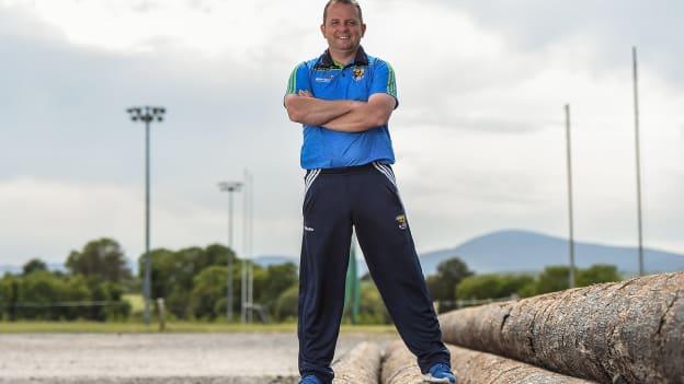 Wexford manager Davy Fitzgerald.