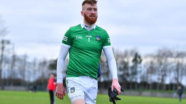 Limerick goalkeeper Donal O'Sullivan. Photo by Ben McShane/Sportsfile