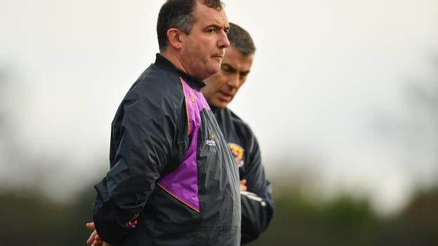 Wexford manager Seamus McEnaney.