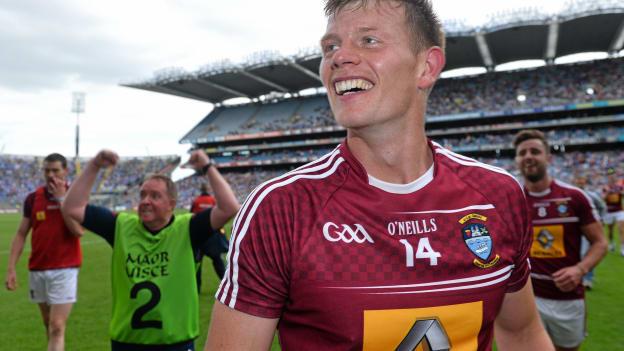 John Heslin celebrates the 2015 Leinster Championship win over Meath