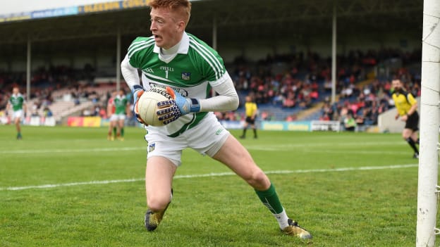 Limerick goalkeeper Donal O Sullivan.