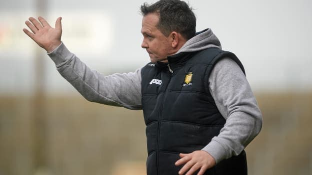 Clare manager Davy Fitzgerald