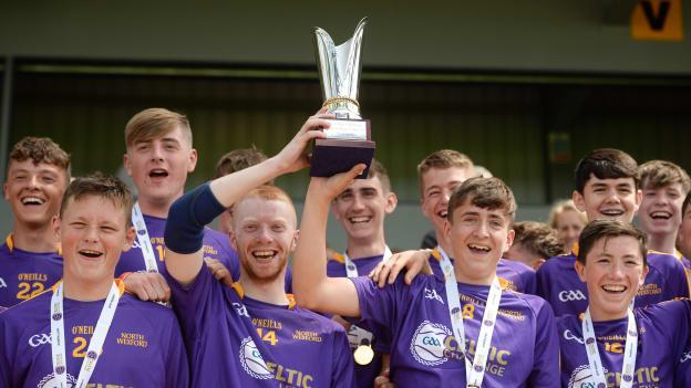 North Wexford defeated Dublin Plunkett.