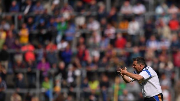 Davy Fitzgerald has stepped down as Clare manager.