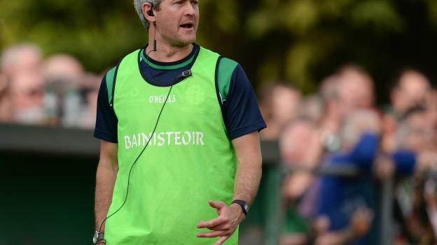 Ciaran Deely watching London play Mayo during the 2016 Connacht SFC at Ruilsip.