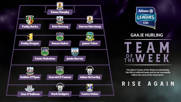 This week's GAA.ie Hurler Team of the Week. 