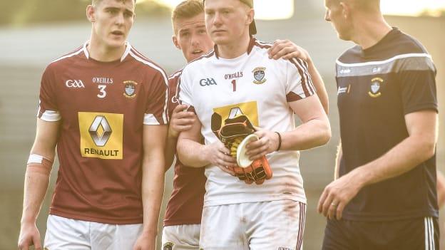 Gary Rogers previously worked as a goalkeeping coach with Westmeath.