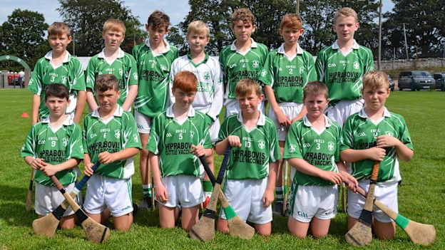 The Holycross-Ballycahill U-12 hurlers that won the Tipperary U-12 'A' title in 2019. 