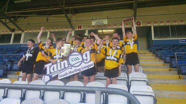 Four Roads players celebrate after their victory in Final 6 of the 2019 Táin Óg Hurling League. 