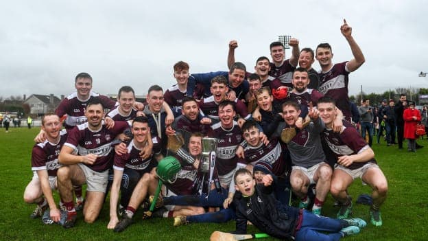 Borris-Ileigh celebrate winning the 2019 Munster hurling title.