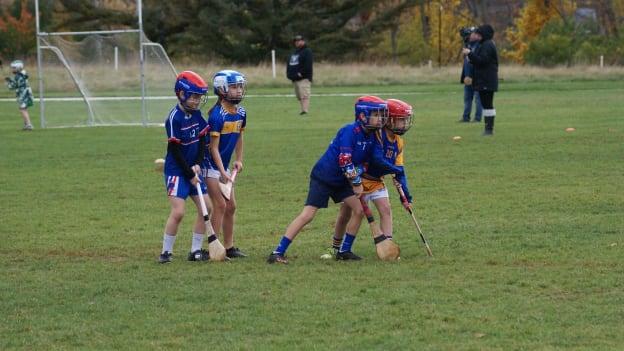 An U9 tournament was recently hosted by Glenside featuring clubs from Philadelphia, Boston, and New York.