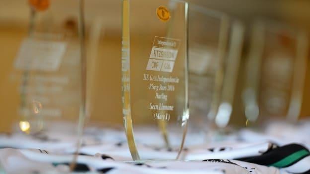 Independent.ie Football & Hurling Rising Stars for 2017 Announced 